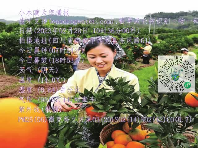 860123d0b263d2875c2c134ccbe621cc.mp4