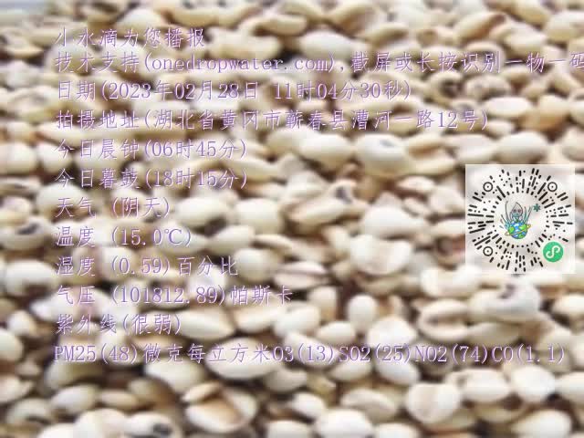 0.mp4
