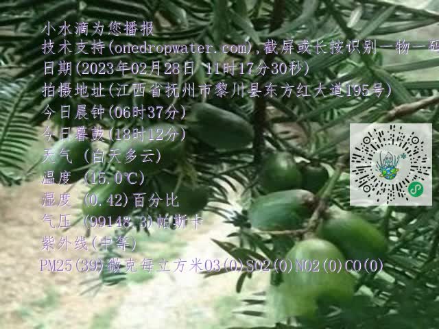 0.mp4