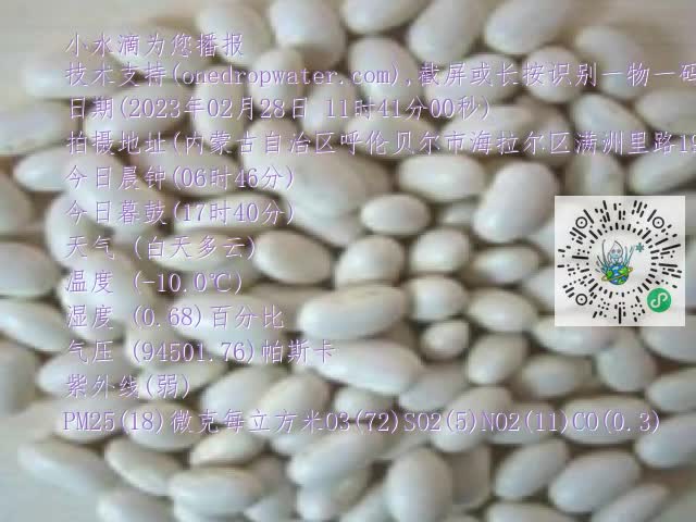 0.mp4