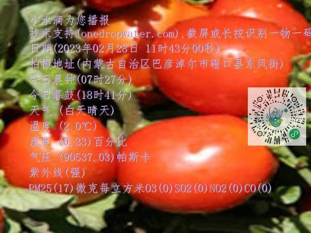 0.mp4