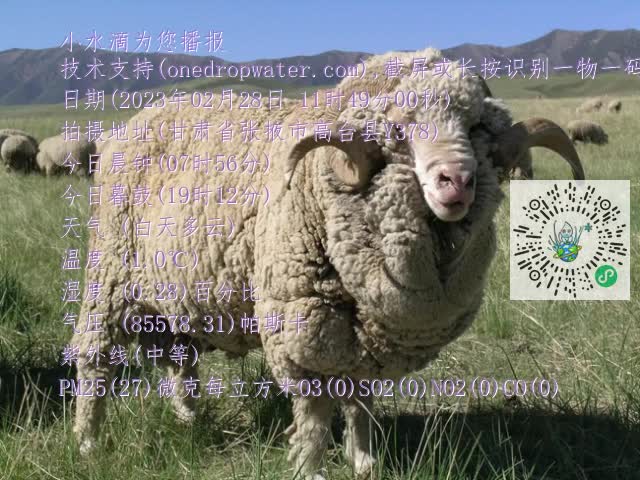 0.mp4