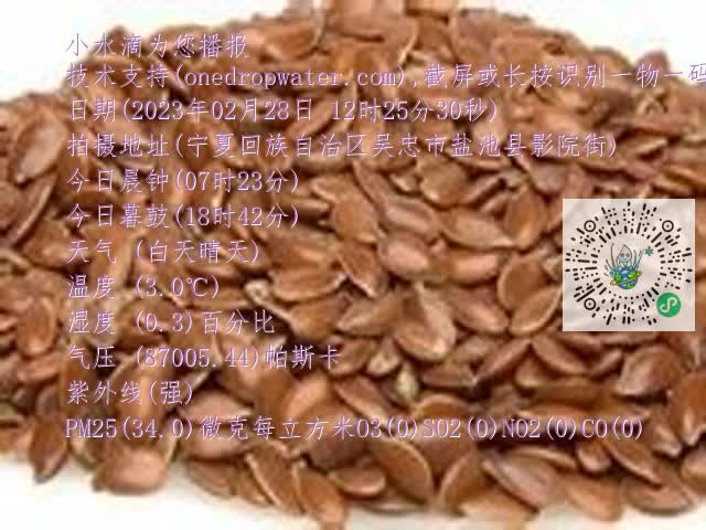 0.mp4