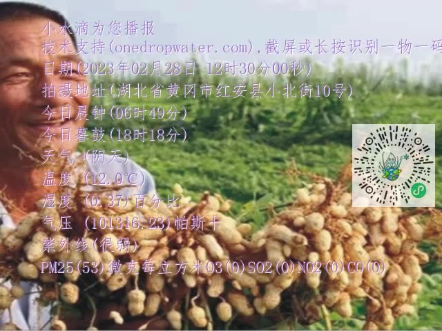 0.mp4