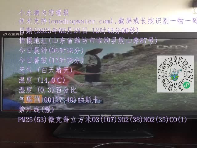 0.mp4