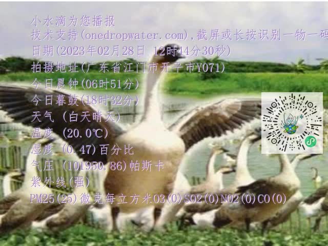 0.mp4