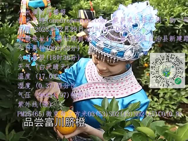 dd8090a4e4d4c7718ed15ab6692d8051.mp4