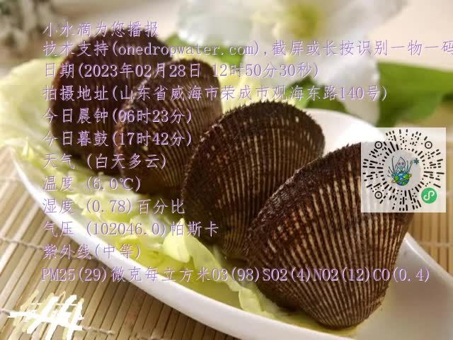 0.mp4