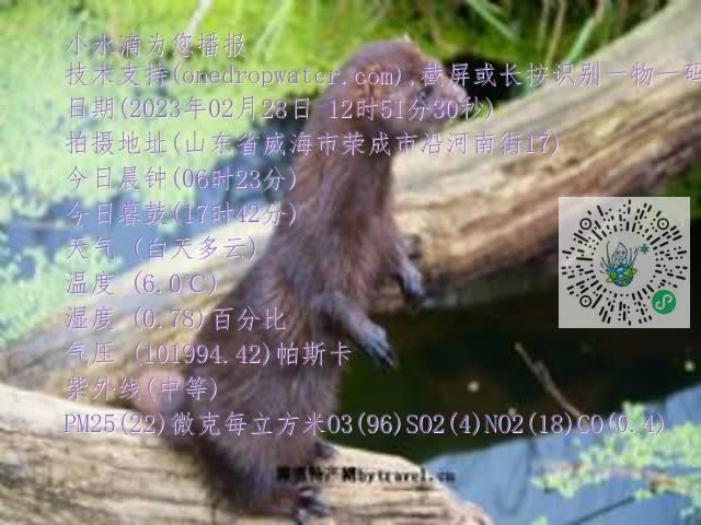 0.mp4