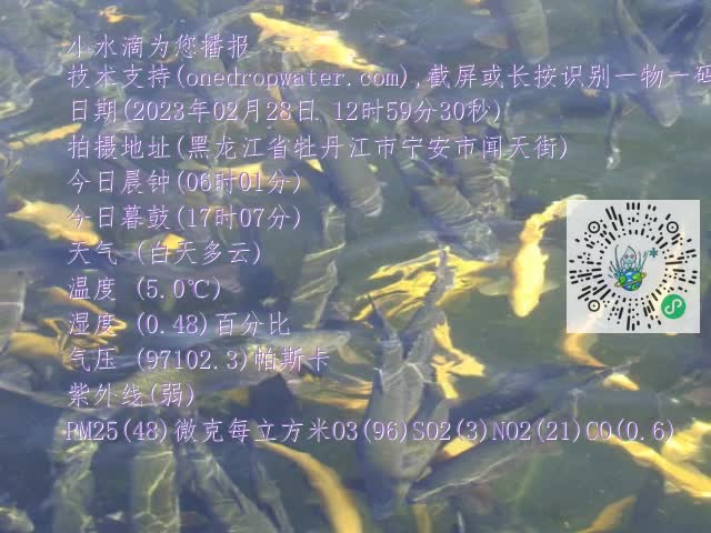 0.mp4