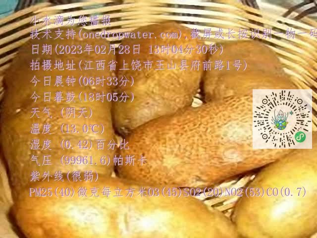 0.mp4