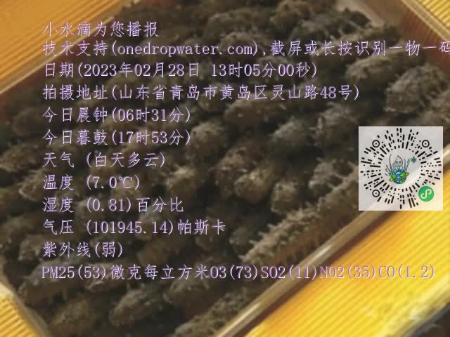0.mp4