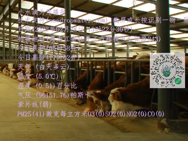 0.mp4