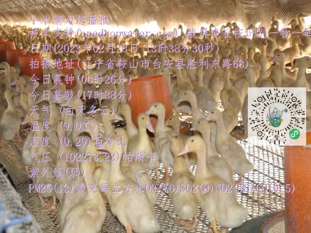 0.mp4