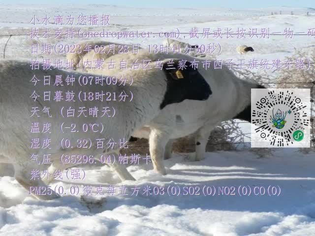 0.mp4