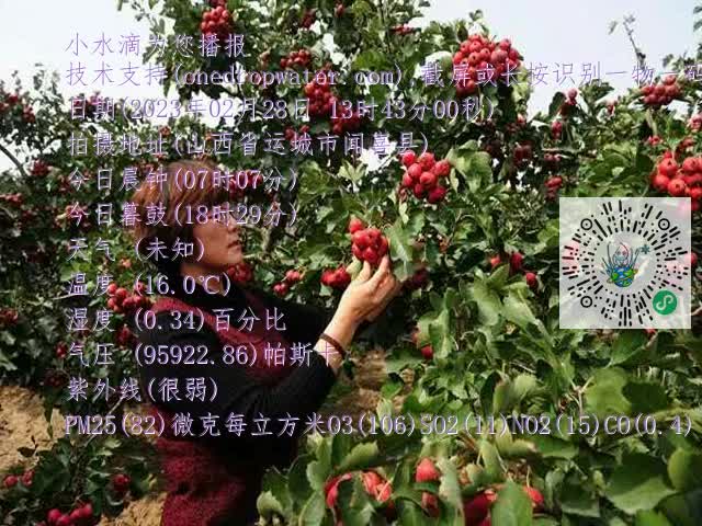 0.mp4