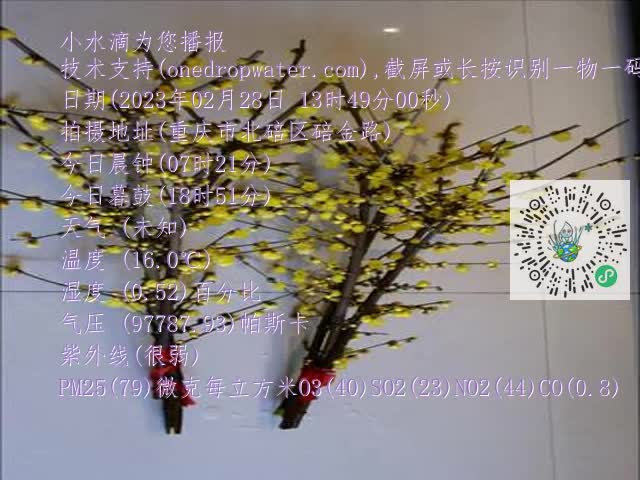 0.mp4