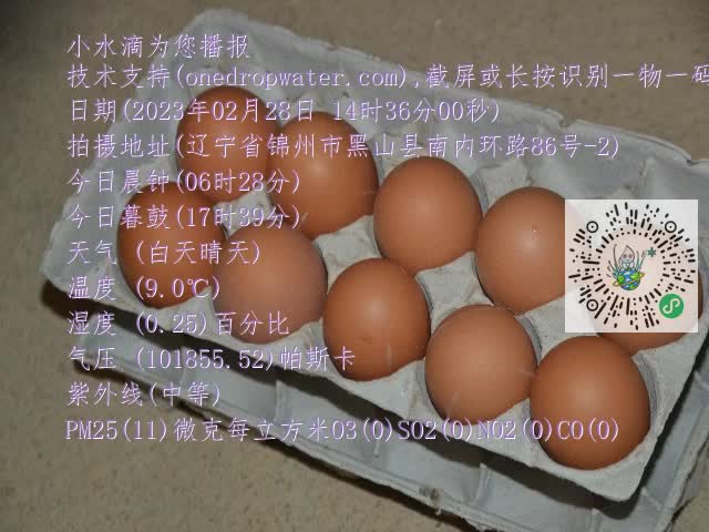 0.mp4