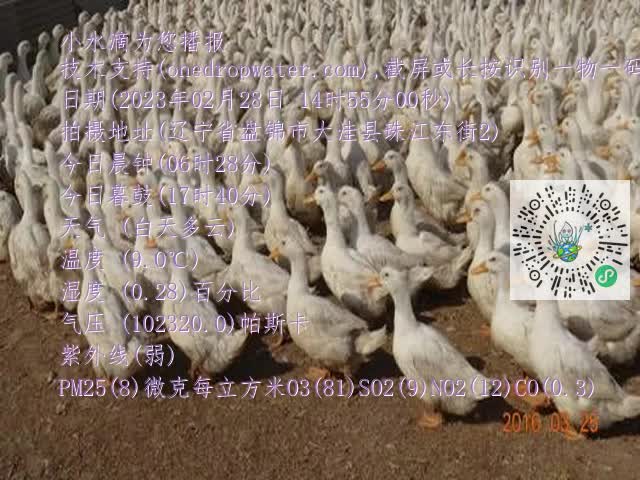 0.mp4