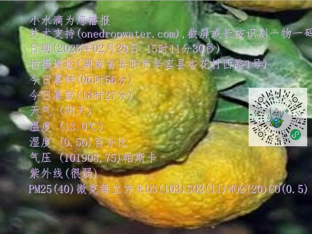 0.mp4