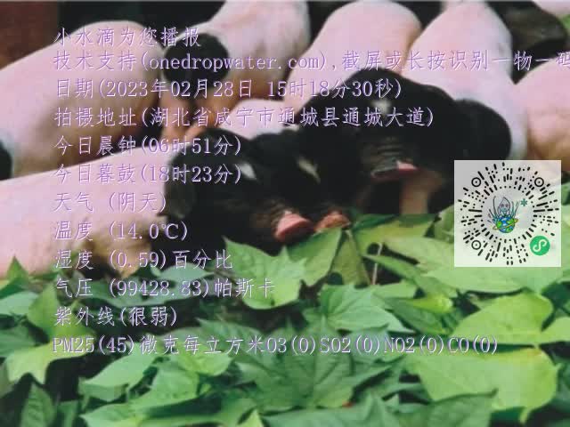0.mp4