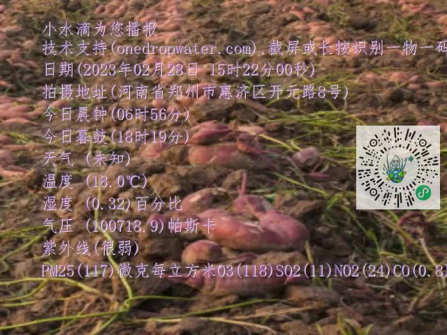 0.mp4