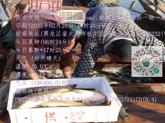 0.mp4