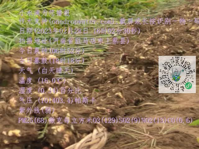 0.mp4