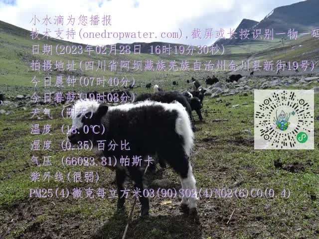 0.mp4