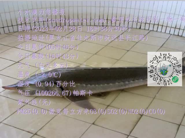 0.mp4