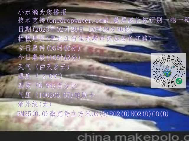 0.mp4
