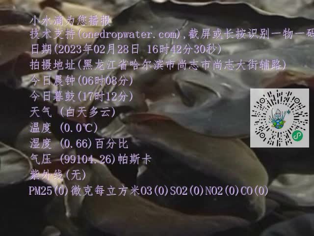 0.mp4