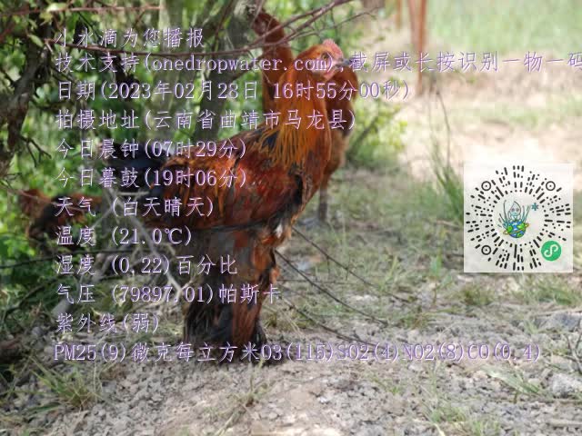 0.mp4