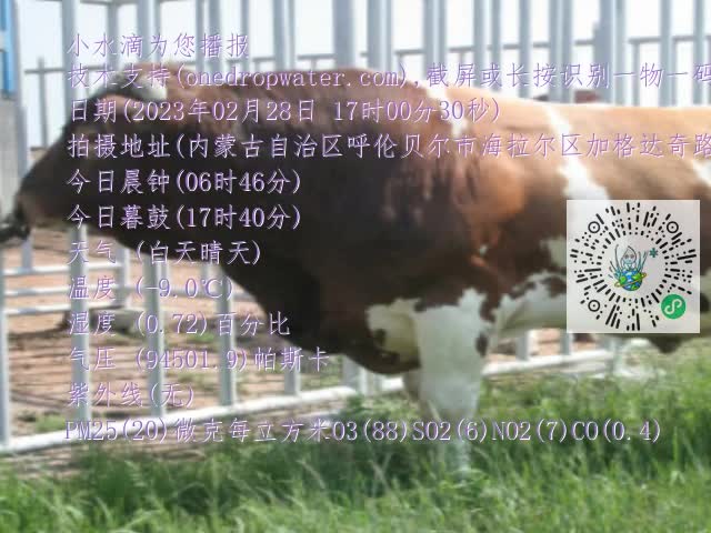 0.mp4