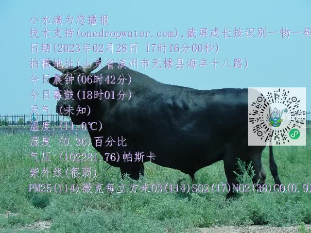 0.mp4