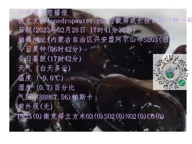 0.mp4