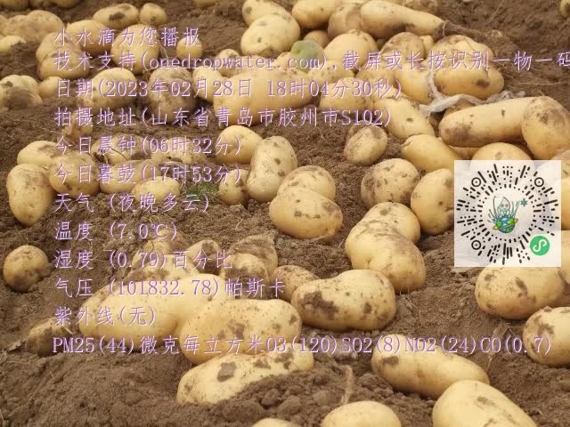0.mp4