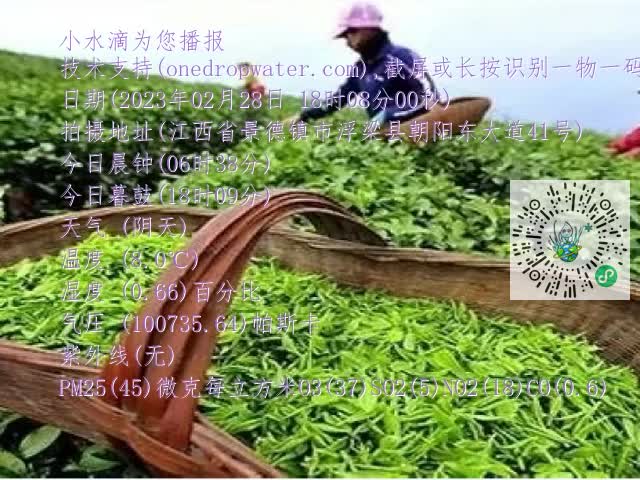 0.mp4