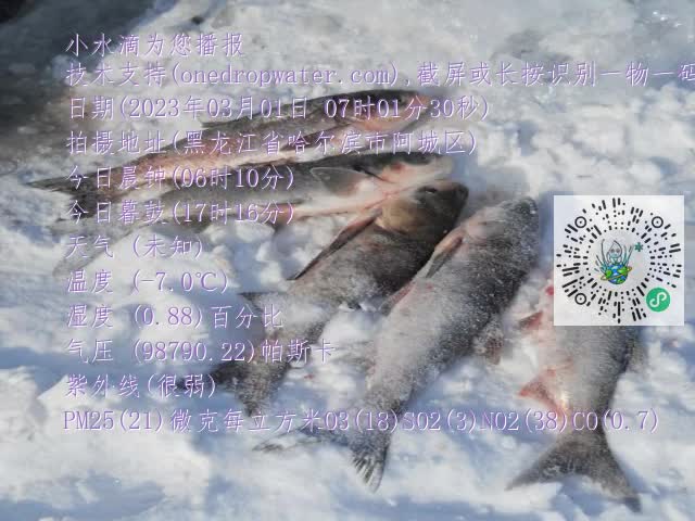 0.mp4