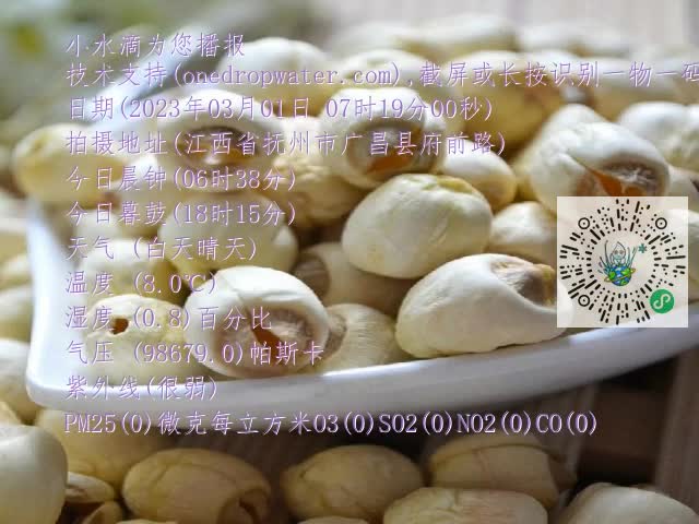 0.mp4