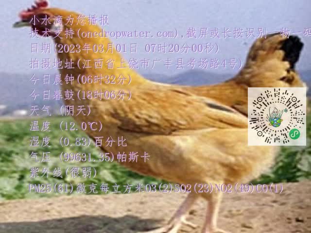 0.mp4