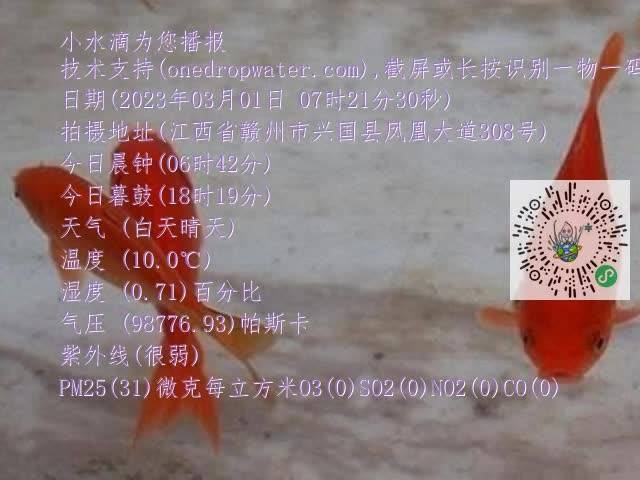 0.mp4