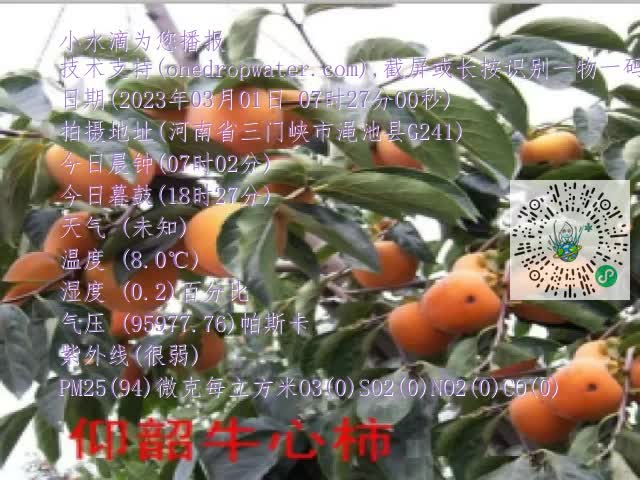 0.mp4