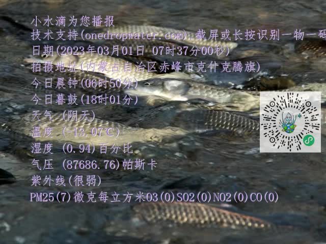 0.mp4