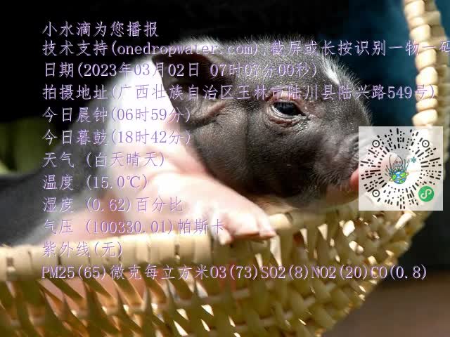 0.mp4