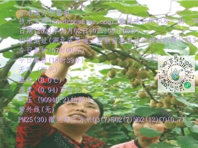 0.mp4