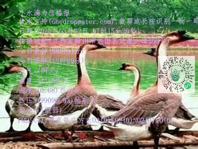 0.mp4