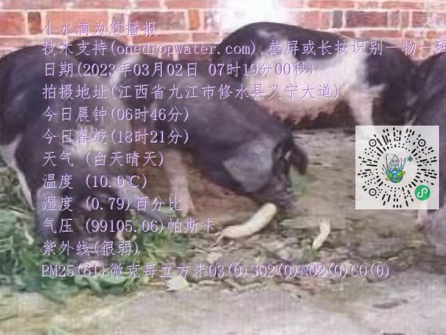 0.mp4