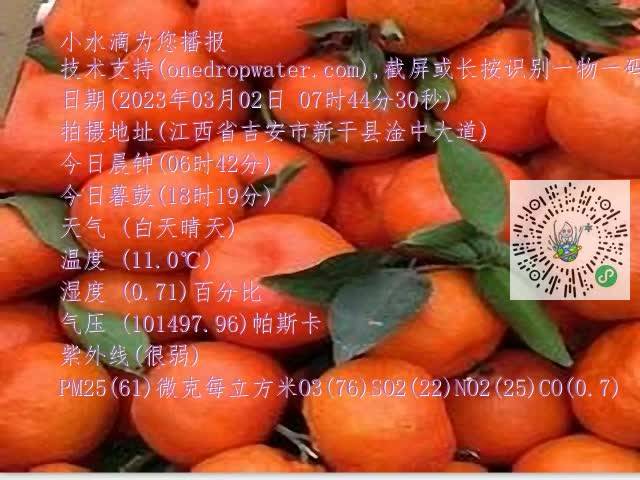 ecfc02e661c240238ed0ded099b304eb.mp4