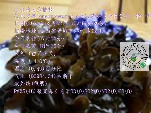 0.mp4